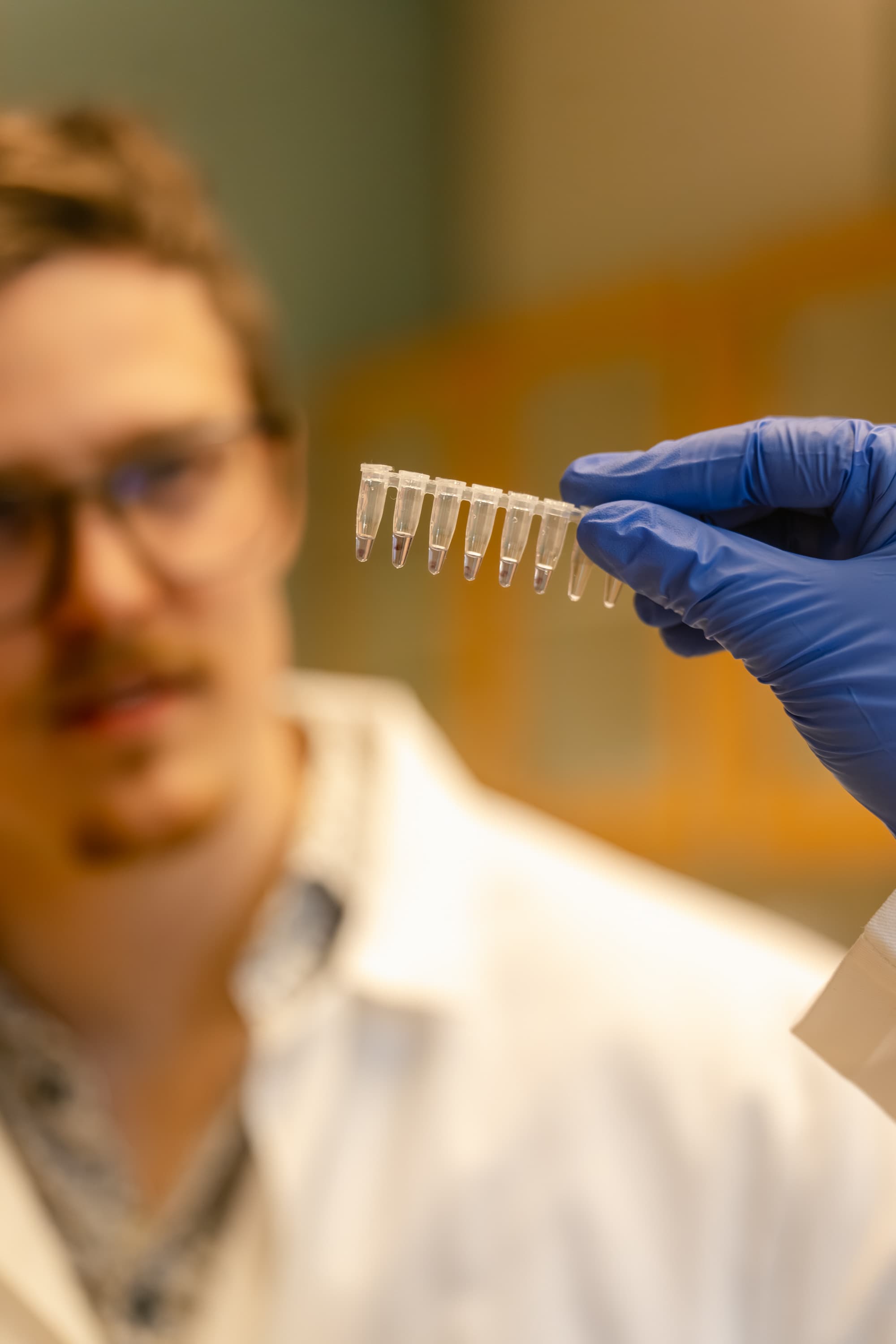 Scientist examining test tubes in Readily Diagnostics lab